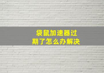 袋鼠加速器过期了怎么办解决