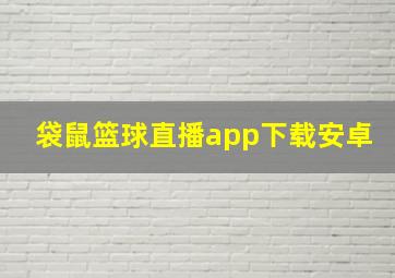 袋鼠篮球直播app下载安卓