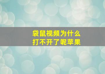 袋鼠视频为什么打不开了呢苹果