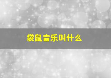 袋鼠音乐叫什么