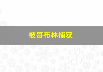 被哥布林捕获