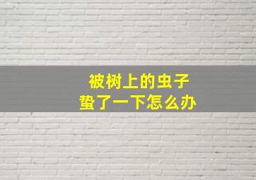 被树上的虫子蛰了一下怎么办