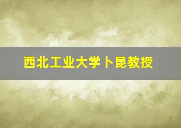 西北工业大学卜昆教授