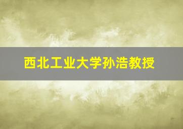 西北工业大学孙浩教授