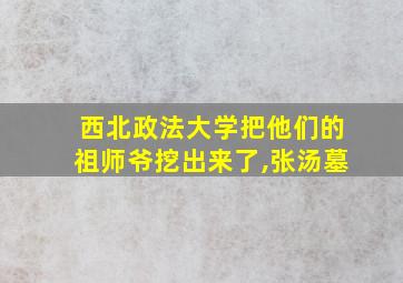 西北政法大学把他们的祖师爷挖出来了,张汤墓