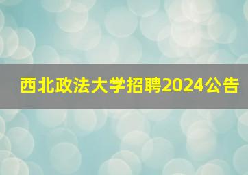 西北政法大学招聘2024公告