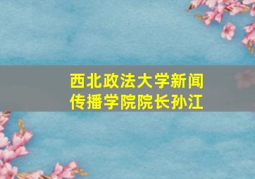 西北政法大学新闻传播学院院长孙江