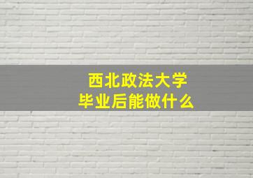 西北政法大学毕业后能做什么