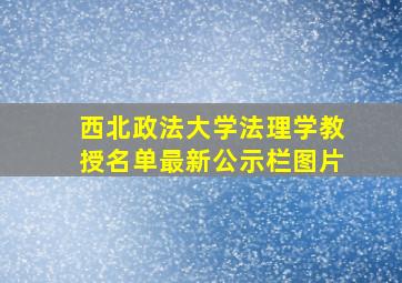 西北政法大学法理学教授名单最新公示栏图片