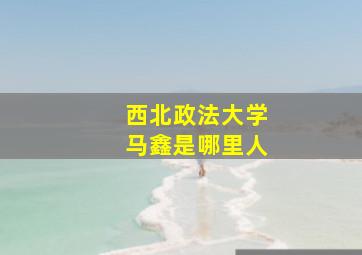 西北政法大学马鑫是哪里人