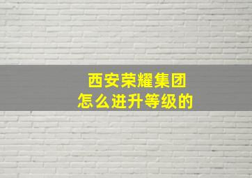 西安荣耀集团怎么进升等级的