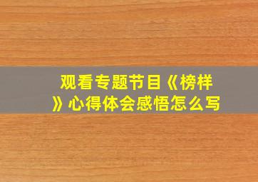 观看专题节目《榜样》心得体会感悟怎么写