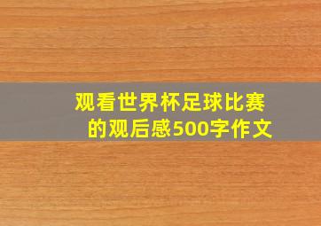 观看世界杯足球比赛的观后感500字作文