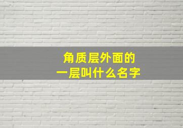 角质层外面的一层叫什么名字