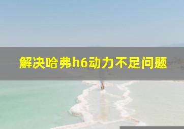 解决哈弗h6动力不足问题