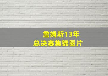 詹姆斯13年总决赛集锦图片