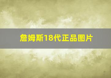 詹姆斯18代正品图片