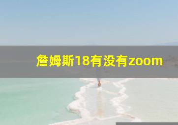 詹姆斯18有没有zoom