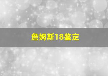 詹姆斯18鉴定