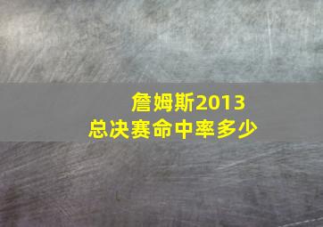 詹姆斯2013总决赛命中率多少