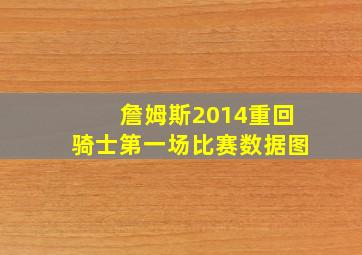 詹姆斯2014重回骑士第一场比赛数据图