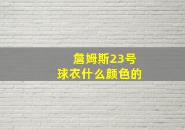 詹姆斯23号球衣什么颜色的