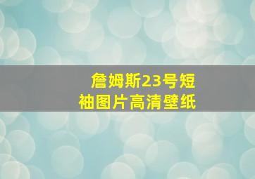 詹姆斯23号短袖图片高清壁纸