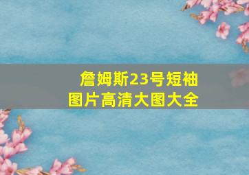 詹姆斯23号短袖图片高清大图大全