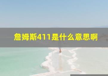 詹姆斯411是什么意思啊