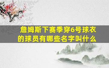 詹姆斯下赛季穿6号球衣的球员有哪些名字叫什么