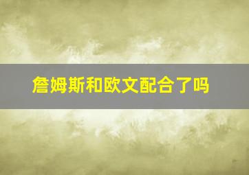 詹姆斯和欧文配合了吗