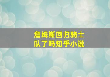 詹姆斯回归骑士队了吗知乎小说