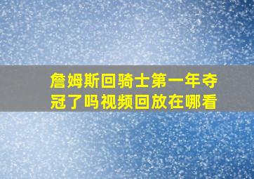 詹姆斯回骑士第一年夺冠了吗视频回放在哪看