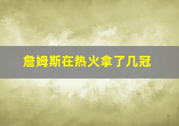 詹姆斯在热火拿了几冠