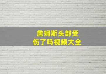 詹姆斯头部受伤了吗视频大全