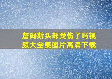 詹姆斯头部受伤了吗视频大全集图片高清下载