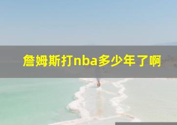 詹姆斯打nba多少年了啊