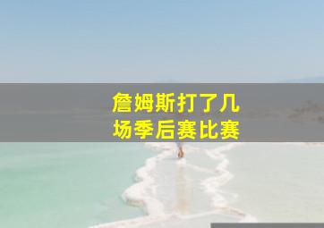 詹姆斯打了几场季后赛比赛