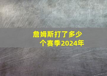 詹姆斯打了多少个赛季2024年