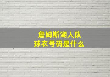 詹姆斯湖人队球衣号码是什么