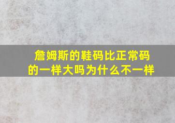 詹姆斯的鞋码比正常码的一样大吗为什么不一样