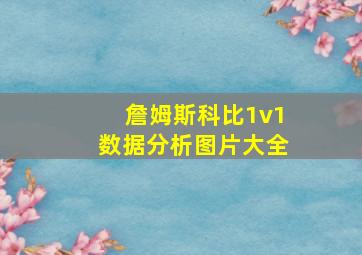 詹姆斯科比1v1数据分析图片大全