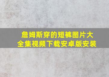 詹姆斯穿的短裤图片大全集视频下载安卓版安装