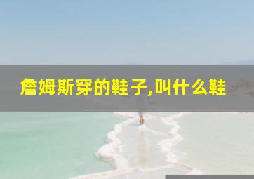 詹姆斯穿的鞋子,叫什么鞋