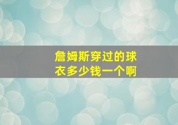 詹姆斯穿过的球衣多少钱一个啊