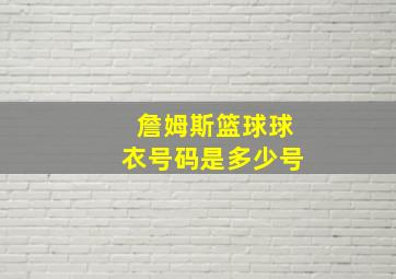 詹姆斯篮球球衣号码是多少号