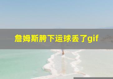 詹姆斯胯下运球丢了gif