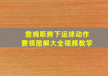 詹姆斯胯下运球动作要领图解大全视频教学