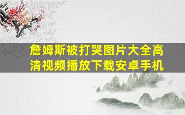 詹姆斯被打哭图片大全高清视频播放下载安卓手机