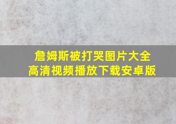 詹姆斯被打哭图片大全高清视频播放下载安卓版